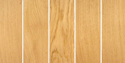 EUROPEAN OAK One Face