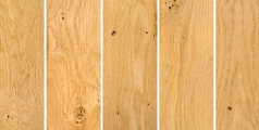 EUROPEAN OAK Character
