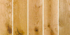EUROPEAN OAK Rustic