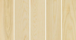 EUROPEAN ASH One Face