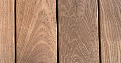 EUROPEAN ASH Thermo